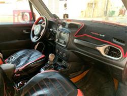 جيب رينيجيد